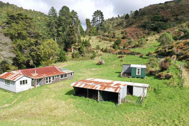 7957 State Highway 2 Opotiki Surrounds_3