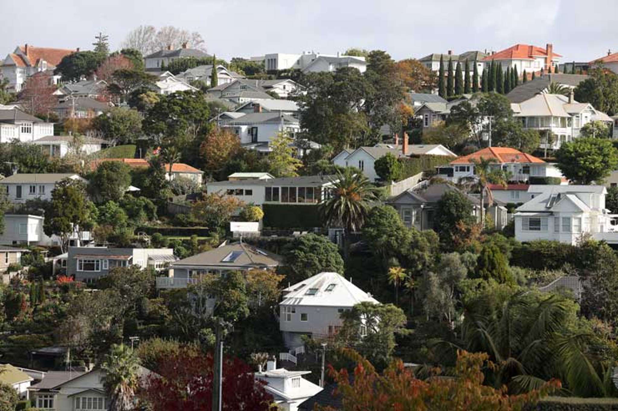 120% increase in number of Auckland homes with $10m-plus CVs