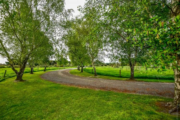 81 Wolfes Road Springston_24