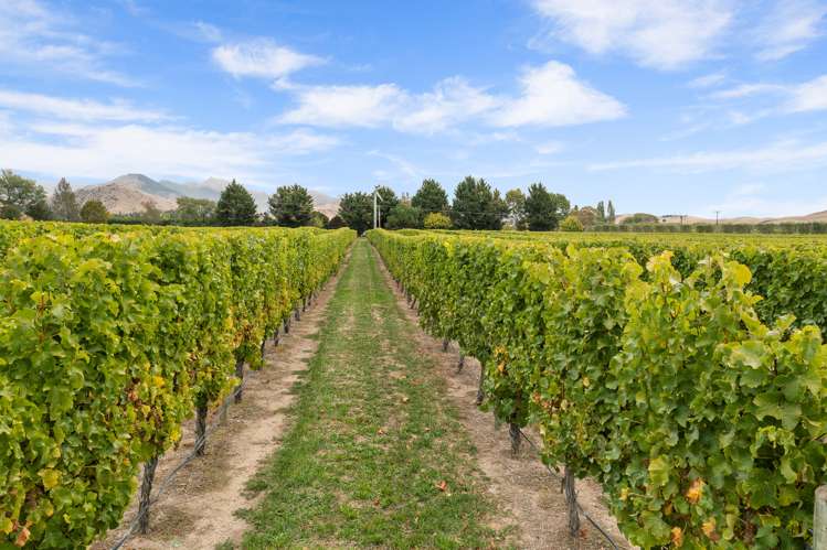 489 Brookby Road Hawkesbury_20