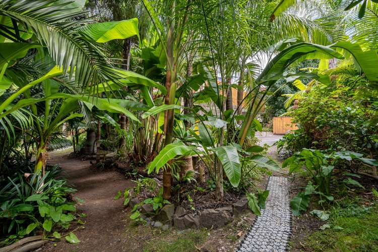 10 Lyons Avenue Murrays Bay_27