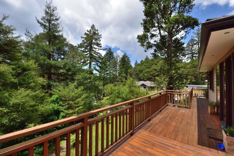 13/24 Ferry Road Wade Heads_20