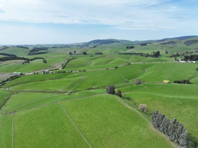 63 Sandford Road Catlins Surrounds_9