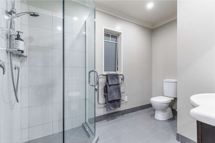 47 Postman Road Dairy Flat_19