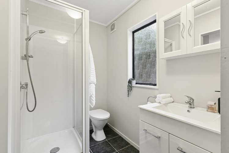 3/53 Liardet Street Vogeltown_9