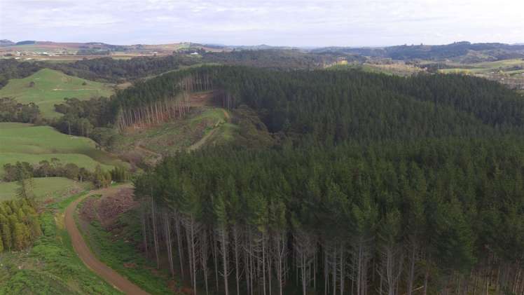 157 Mercer Ferry Road Mercer_11