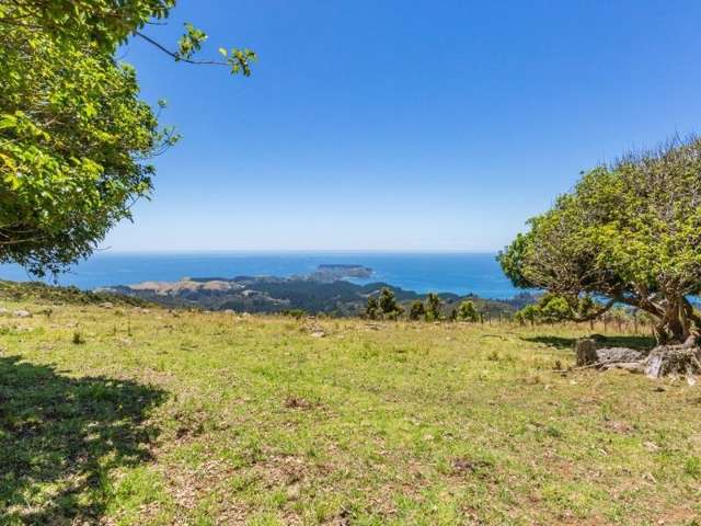 1070b Wainui Road Kaeo_4