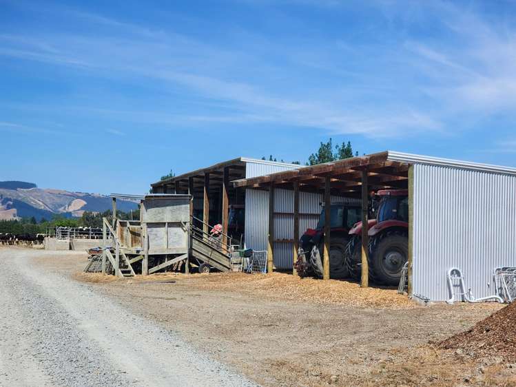 113 Scott Road Milton_18