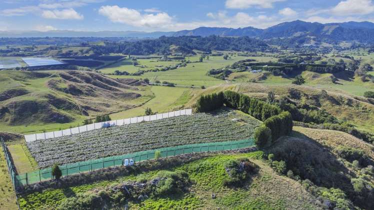 443C State Highway 2 Opotiki_7