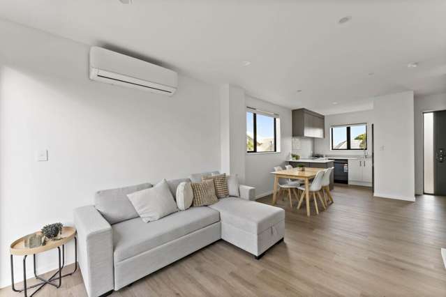 73 Freeland Avenue Mount Roskill_1