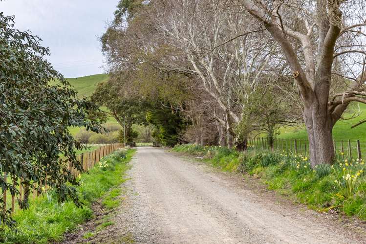 664 Westmere Road Masterton_12