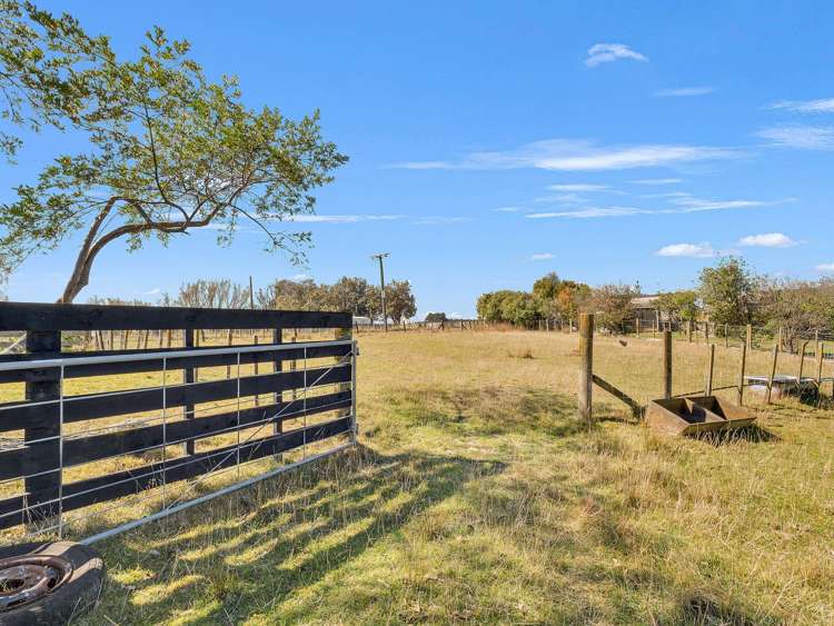 371 Tutaki Road Bunnythorpe_33