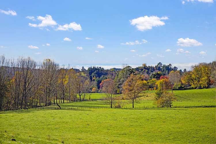 314 Thorpe-Orinoco Road Ngatimoti_29