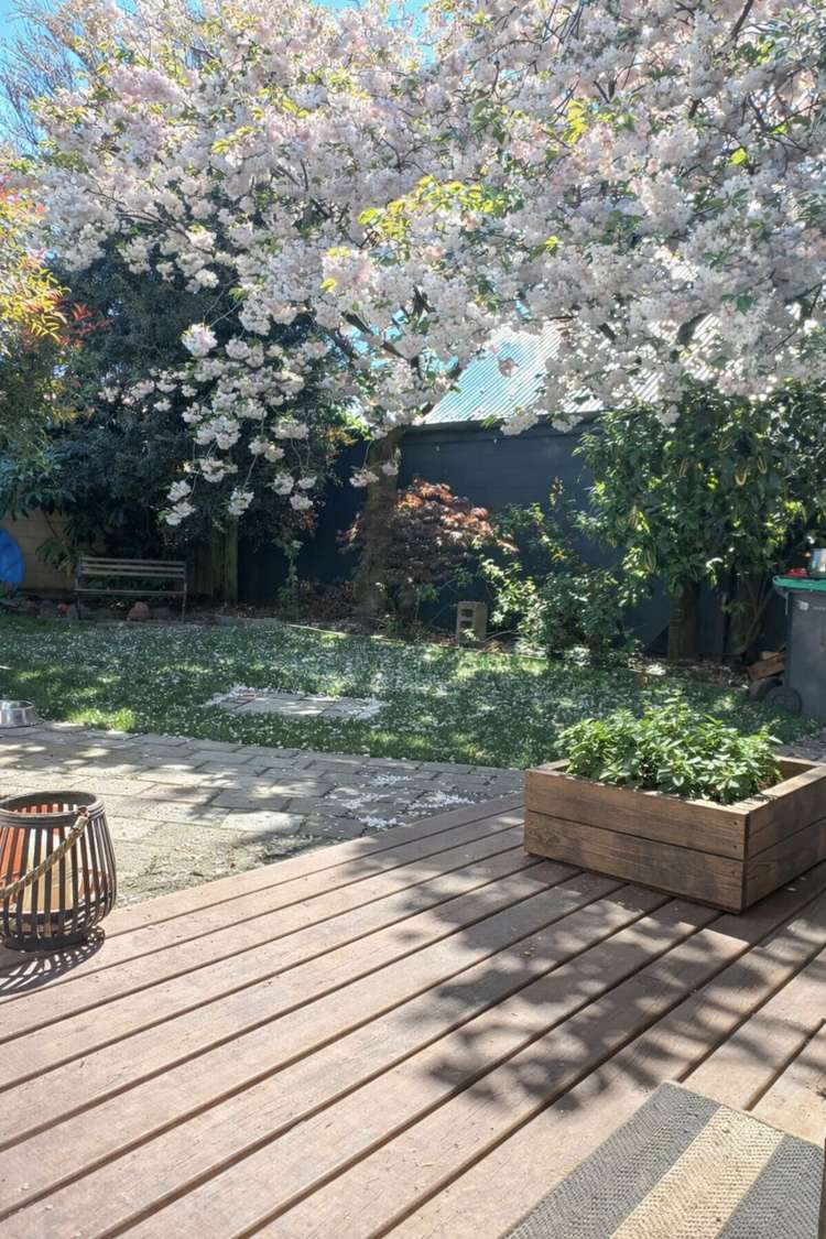 5/17 Barrie Street Addington_13