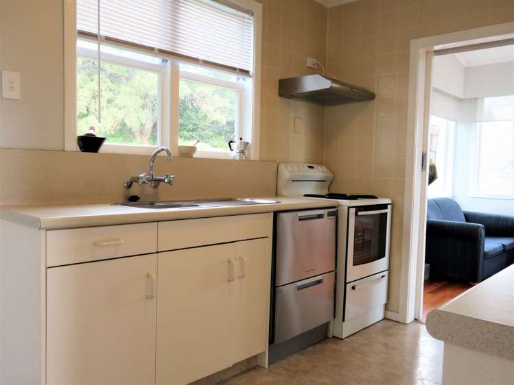 100 Herewaka Street Thames_3