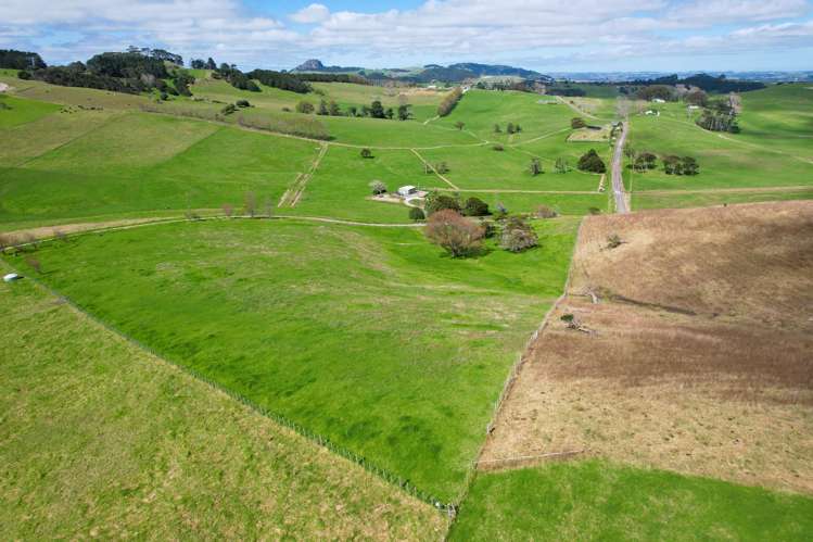 Morrison Road Dargaville_11