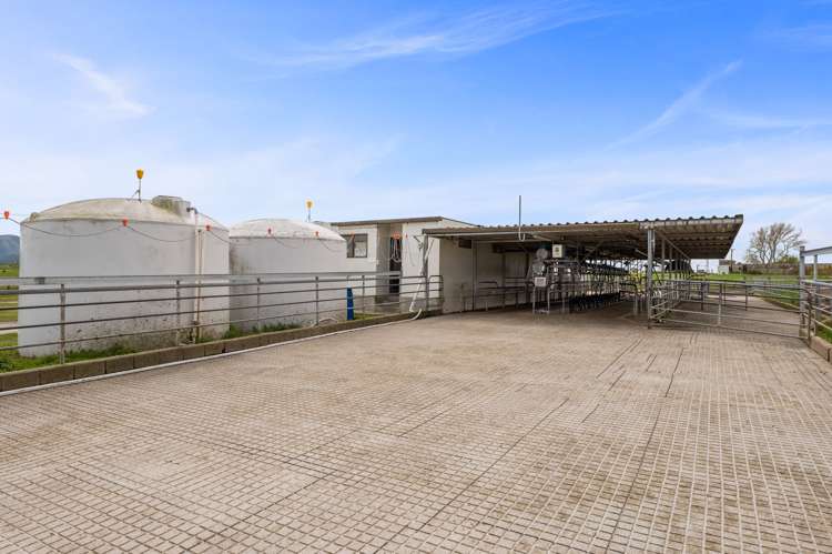 318 Gavin Road Rerewhakaaitu_9