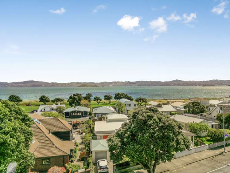 97 Muritai Road Eastbourne_34