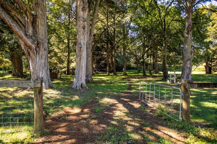 145b Helenslee Road Pokeno_51