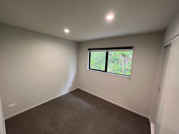 17a Knox Road Swanson_22