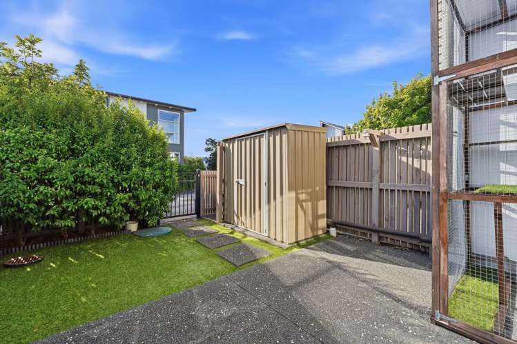 46 Sidney Wallingford Way Hobsonville_14