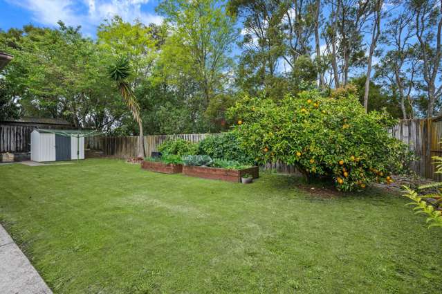 61 Parkhaven Drive Rosehill_4