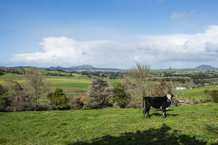 514 Knight Road Ruatangata_20