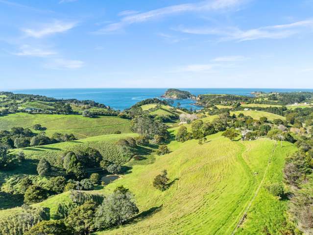 Lot 1 Middle Ridge Tutukaka Coast_4
