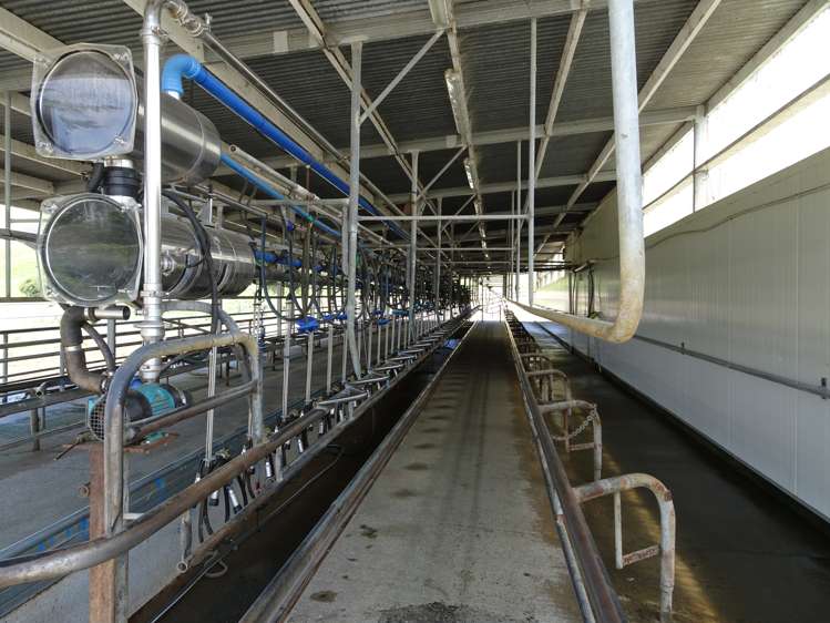 454 Parkville Road Eketahuna_2