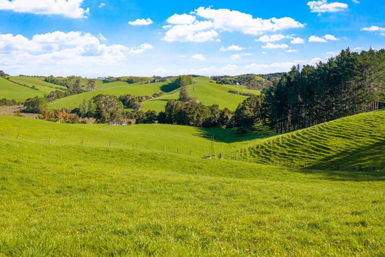 321 Hepburn Creek Road Warkworth_22