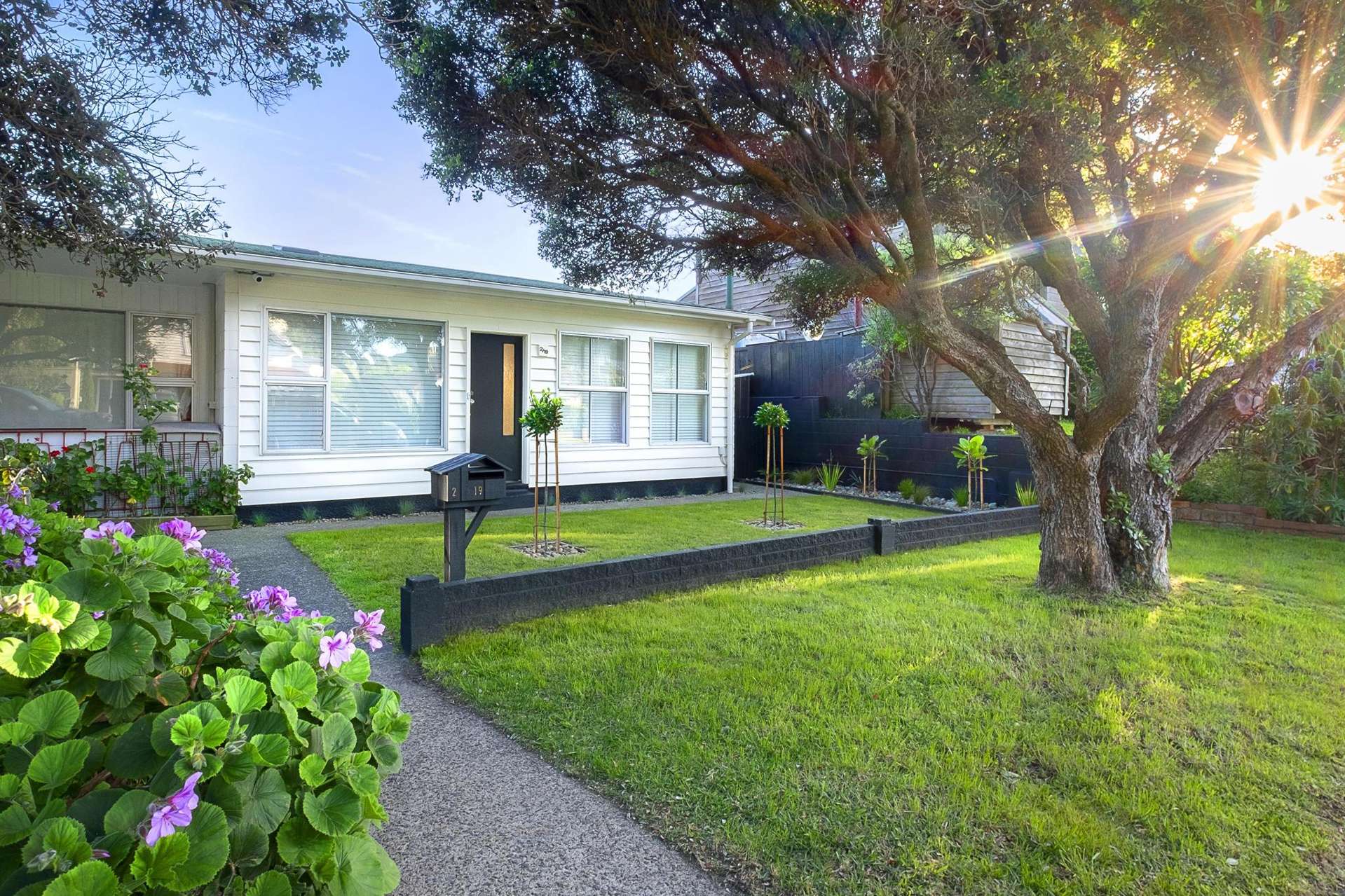 2/19 Burnham Street Seatoun_0