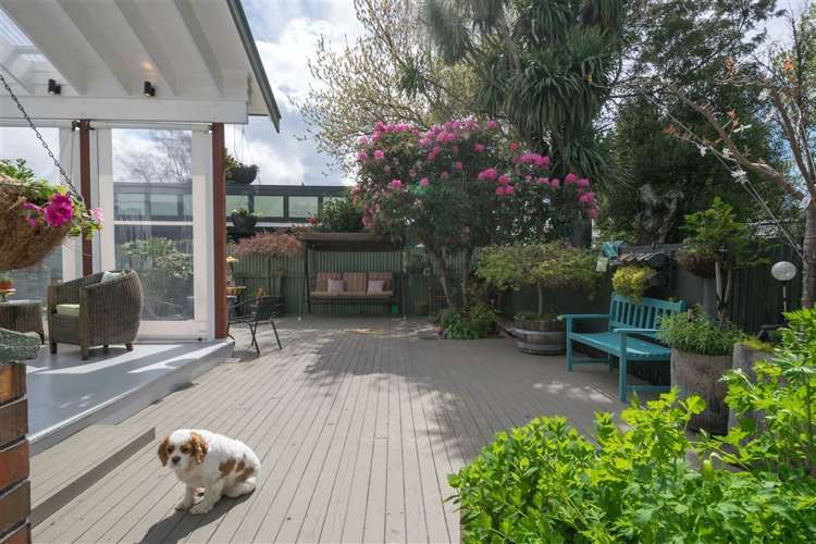 23b Percy Street Blenheim Central_28