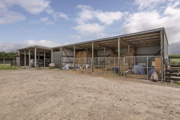 209 Leithfield Road Leithfield_18