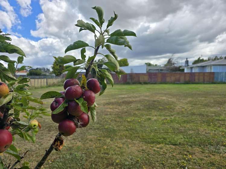 510a Wellington Road Marton_2