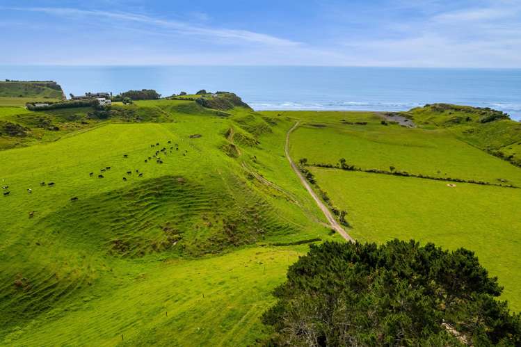 78a Waitoetoe Road Mimi_5