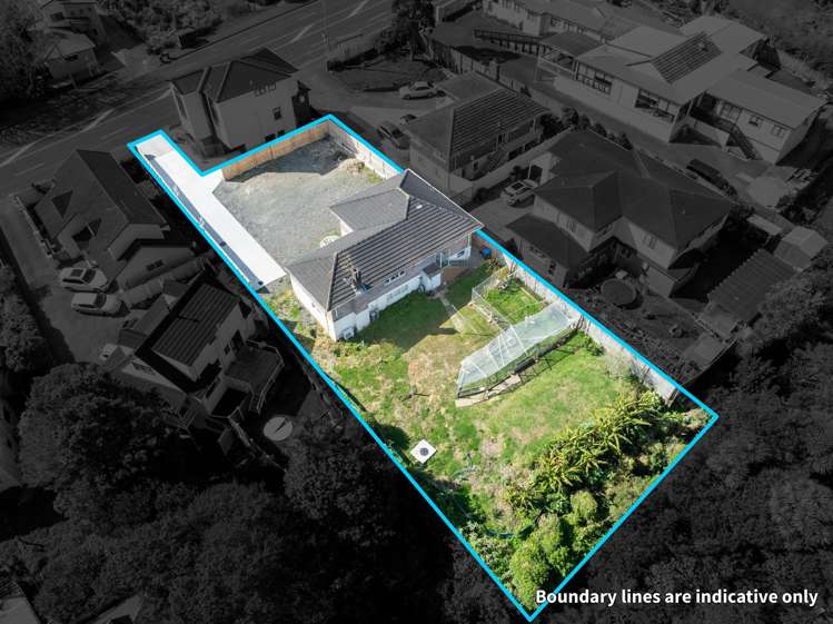 99 Tiverton Road Avondale_6