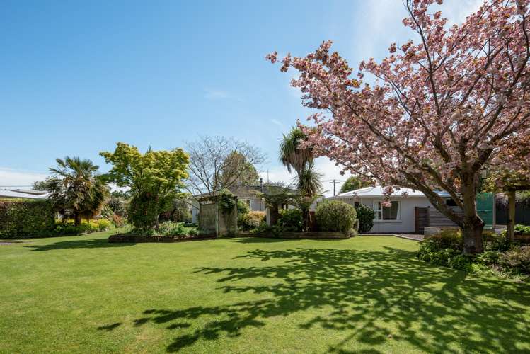 23 Ward Street Springlands_17