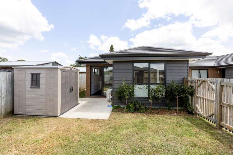 4/31A Karaka Street_0