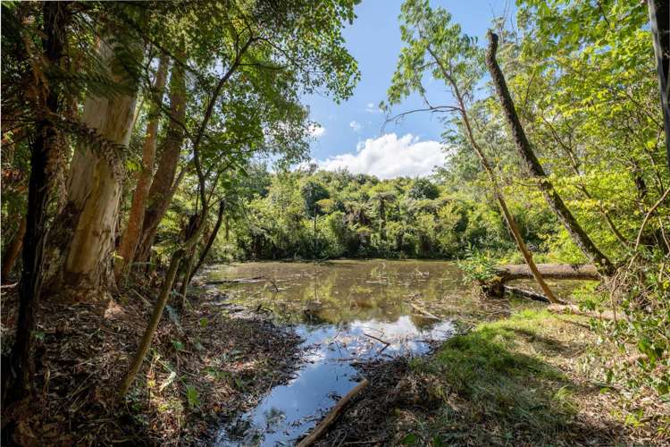 210F Kerikeri Inlet Road Kerikeri_35