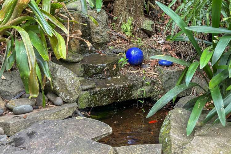 13a Stephen Lysnar Place Hillsborough_4