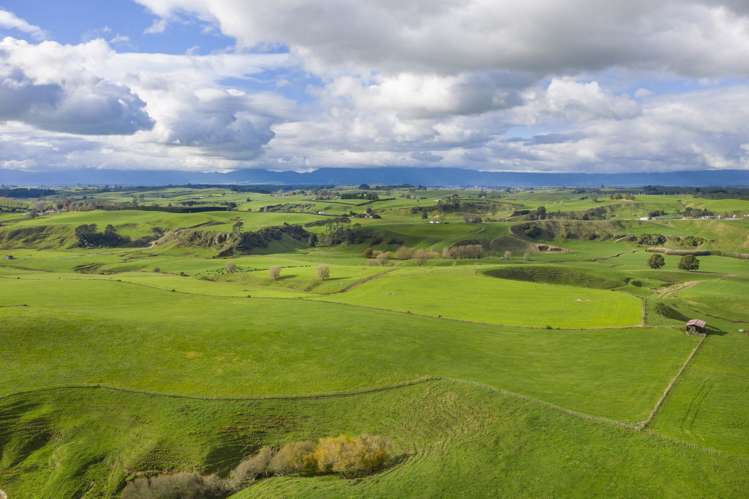 Piakonui Road Richmond Downs_22