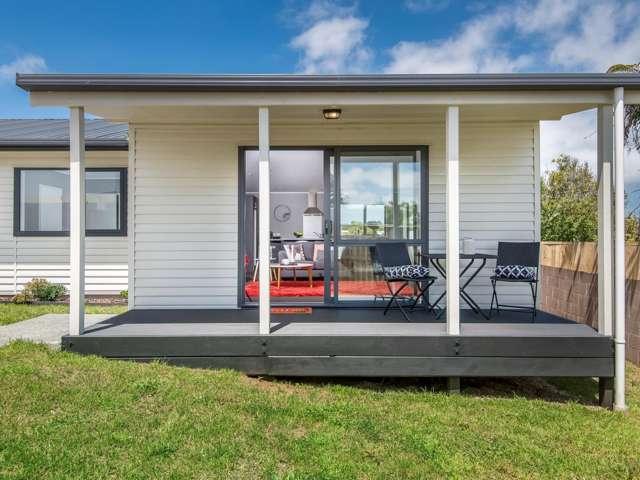 18a Ellis Avenue Mount Roskill_2