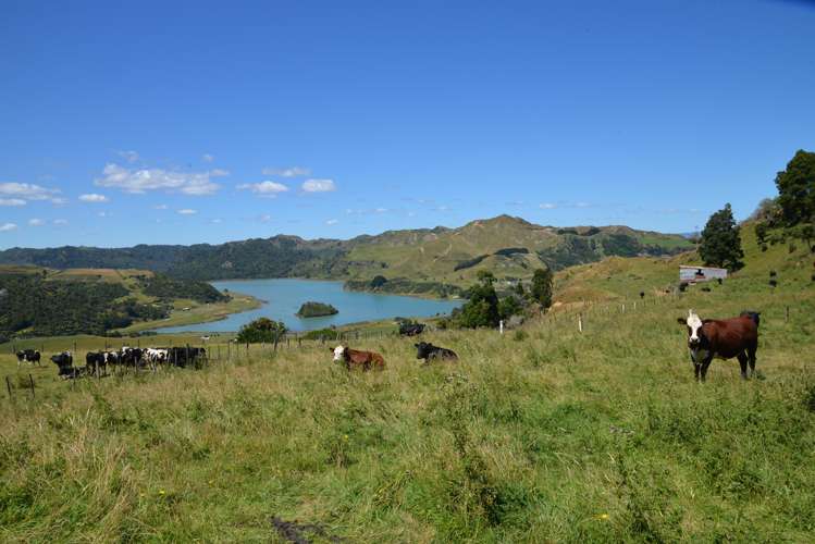 State Highway 3 Mokau New Plymouth Rural Property For Sale One Roof