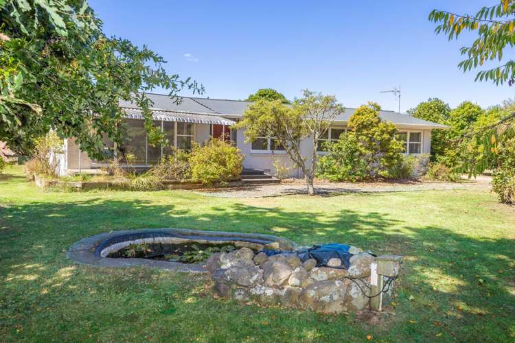 268 Marychurch Road Matangi_10