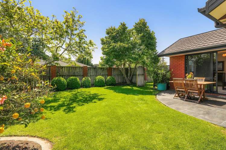 63 Colemans Road Springlands_15