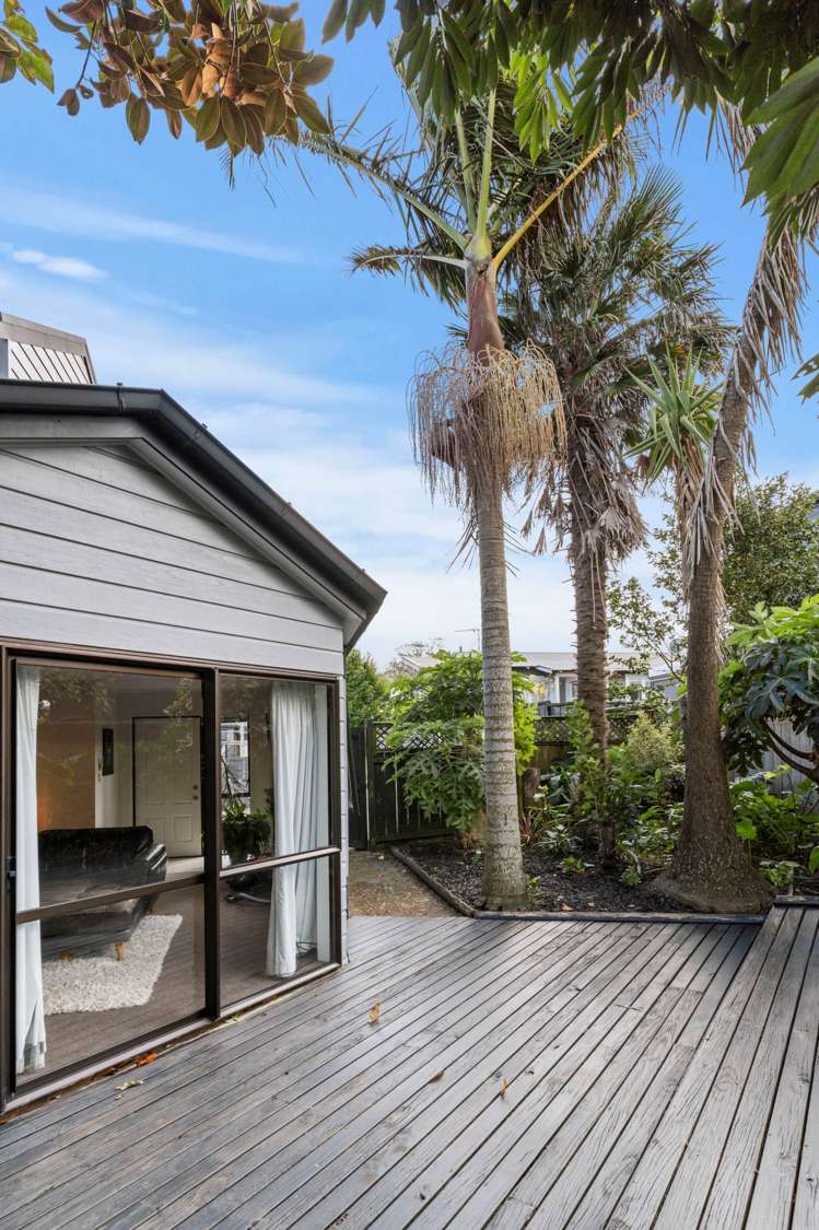 3/15 Vincent Street Howick_16