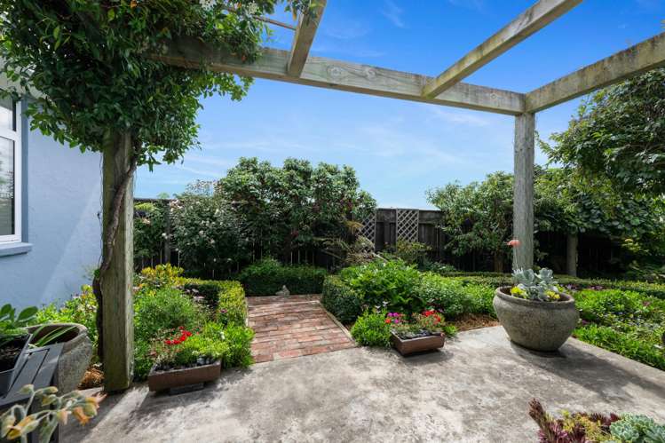 16A Ashwood Drive Witherlea_9