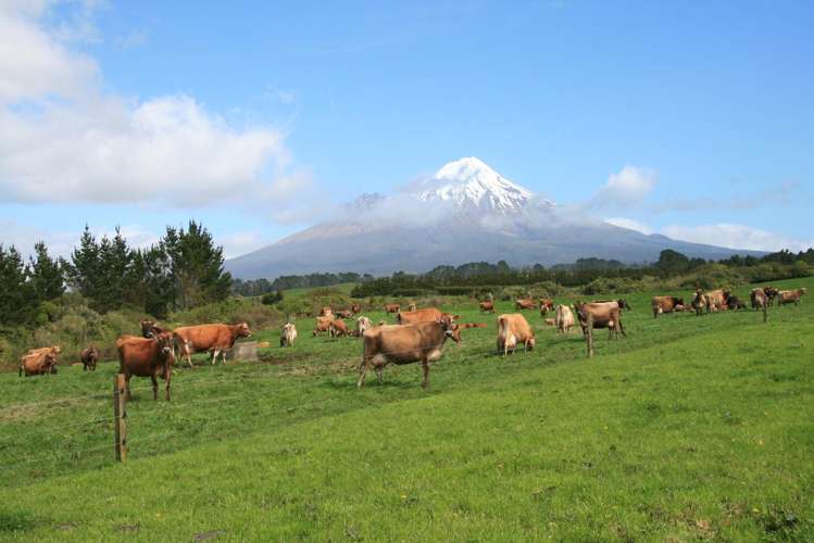 2105 Hastings Road_0