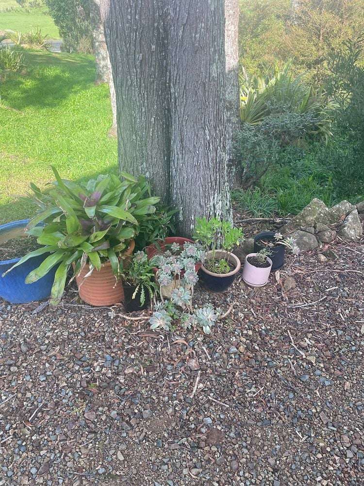 47 Orchard Lane Mangawhai_14