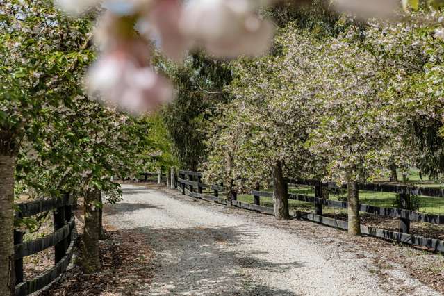 498 North Eyre Road Swannanoa_2